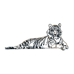 Color sketch of a striped tiger with transparent background