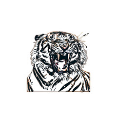 Color sketch of a striped tiger with transparent background