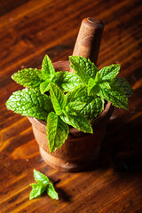 fresh mint Peppermint herb leaves in a mortar © Olga Miltsova