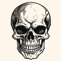Human skull, black and white drawing elegant style