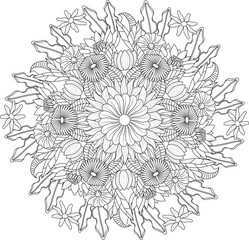Floral Intricate Mandalas Zentangle Adult Coloring Book Pages Detailed Intricate