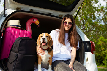 A happy girl and a beagle dog are sitting in the trunk of a car. Next to a suitcase and things for...