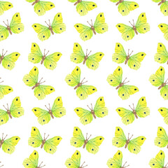 Watercolor set pattern of butterfly isolated on white background. Handpaiting watercolor illustration on white background.