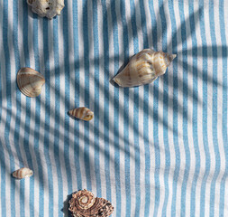 Different kinds of seashells with palm leaves shadows on the blue striped fabric background top view	