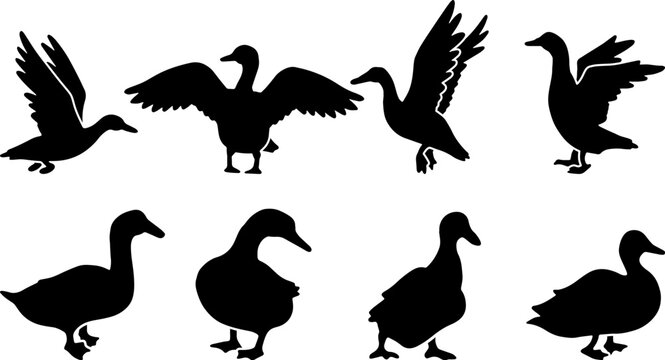 set of silhouettes of laughing & chicken