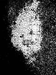 Obraz premium crack ground for abstract background on white background