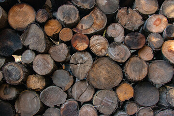 troncos y leña apilados