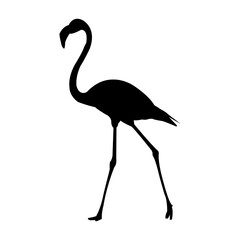 Fototapeta premium Flamingo walking silhouette