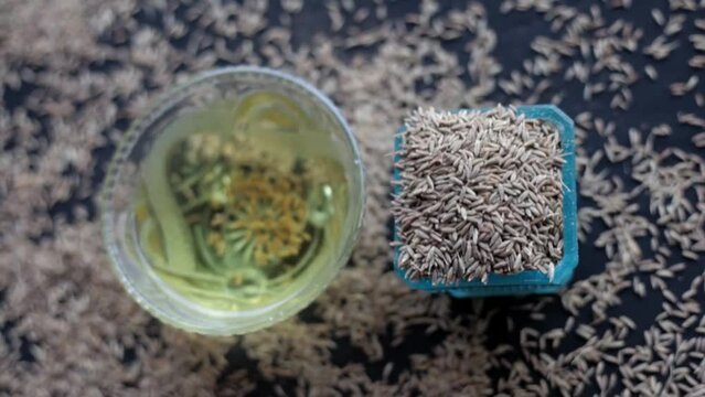 The Cinematic close-up shot of cumin seeds or zeera aka jeera (Cuminum cyminum) in a glass bowl along with its extracted water, Hd footage 24 FPS