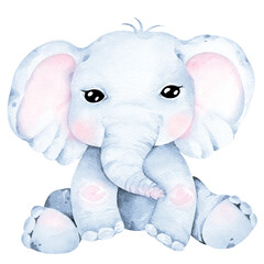 Elephant cartoon watercolor.Safari Animal.Cute pachyderm.