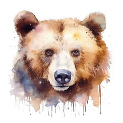 Aquarell-Handzeichnung eines Braunbären: Naturgetreue Tierdarstellung in Wasserfarben