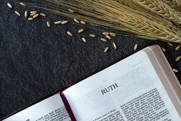 Ruth open holy bible book with barley stalk and ripe grain on dark background. Top table view....