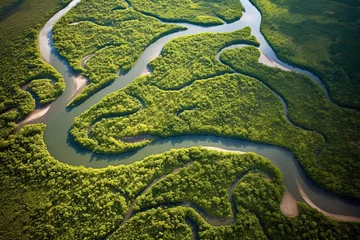 Foto op Canvas Aerial View of River and Tributaries in Lush Greenery - AI Generative © Creative Digital Art