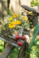 A bouquet of field flowers in a mug and plums on an old bicycle. Close up. Summer mood - 611050625