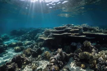Foto op Aluminium coral reef underwater, with schools of fish swimming in the clarity, created with generative ai © altitudevisual