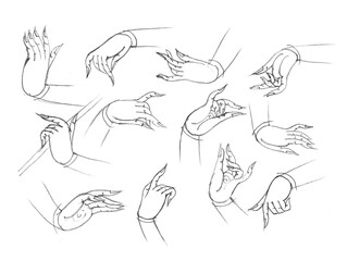 set of hand drawings pencil drawing for card study illustration