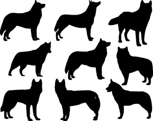 Set of Siberian Husky Silhouette © Toseef