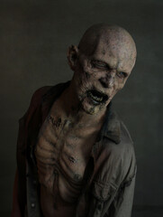 Ancient Decaying Zombie 