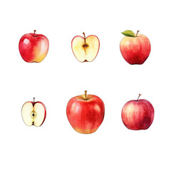 Watercolor Style Cut-off Apple Illustration