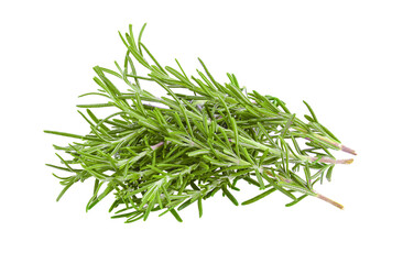 Rosemary isolated on transparent png