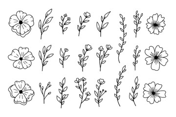 A collection of hand drawn plants leaves and flowers decorative floral elements