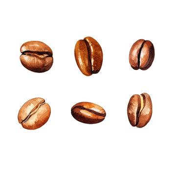 Watercolor Style Cut-off Coffee Bean Illustration