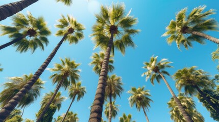 A group of palm trees with a blue sky in the background. Looking at the tops of palm trees with bright colors on warm summer day. Created with Generative Ai Technology
