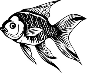 Fish Illustration