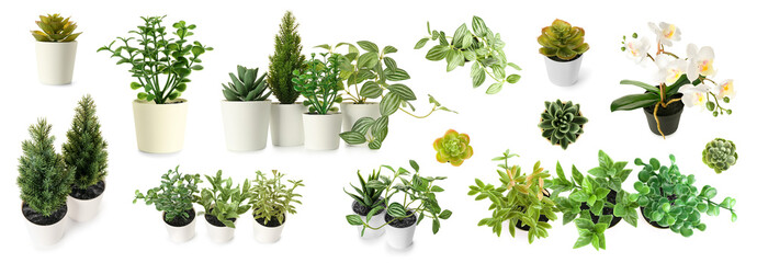 Set of artificial plants on white background