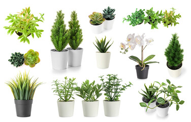 Set of artificial plants on white background