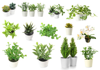 Fototapeta na wymiar Set of artificial plants on white background