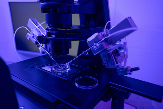 Manipulators doing in vitro fertilization of female cell with male sperm