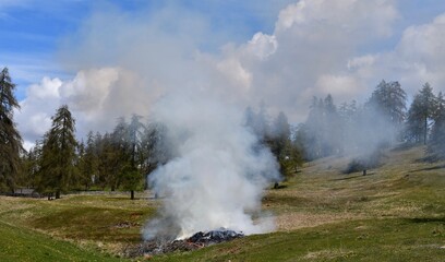 Feuer und Rauch auf einer Viehweide am Salten in Südtirol 