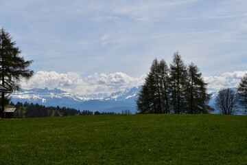 Fototapeta na wymiar Schöne Landschaft am Salten in Südtirol mit Blick zu den Dolomiten 