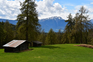 Fototapeta na wymiar Schöne Landschaft auf dem Salten in Südtirol 