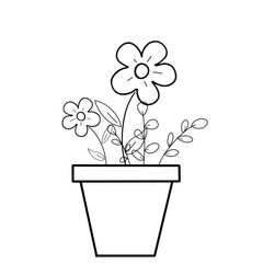 Flower plants in a pot