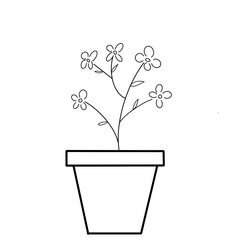 Flower plants in a pot