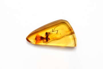 Amber with inclusionon ant a white background. Sun stone. Fossil fossilized resin. semi-precious mineral. Natural material for jewelry. Copal. Science and geology. Insects in amber stone. fly