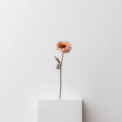 A minimalistic and clean composition featuring a single flower against a white background, with negative copy space for a simple and impactful message. Generative AI. 