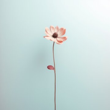 A minimalist composition featuring a single stem of a flower against a pastel-colored background, with negative copy space for a clean and serene message. Generative AI. 