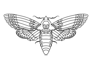 An outline illustration of a stylized death's-head hawkmoth.