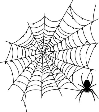 Scary black spider web isolated on white. Spooky halloween decoration.