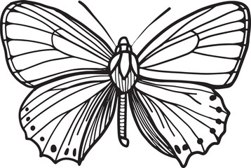 Fototapeta na wymiar Butterfly sketch cartoon black simple Outline vector illustration