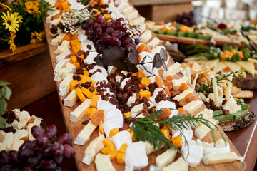 mesa de quesos, delicioso, comida, queso, cambember, gruyere, roquefort, tabla de quesos