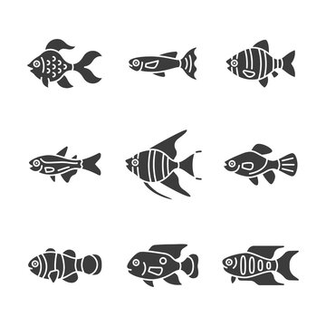 Aquarium fish glyph icon set. Tropical fish vector sign. Aquarium husbandry symbol.