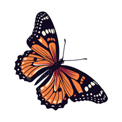 Butterfly illustration. white background vector