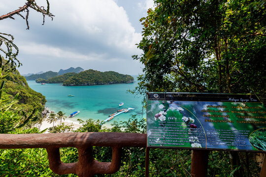 tropical paradise,Bird eye view of Angthong national marine park, koh Samui, Suratthani, Thailand.