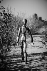 Wooden mannequin walking along path among vegetation in black and white photo.