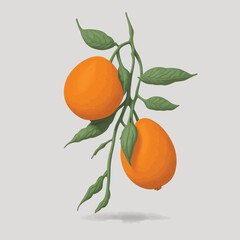 orange with leaves