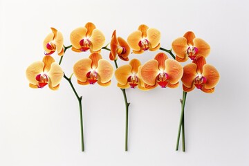 Obraz na płótnie Canvas Twig of orange Phalaenopsis orchid on a white background. Generative AI